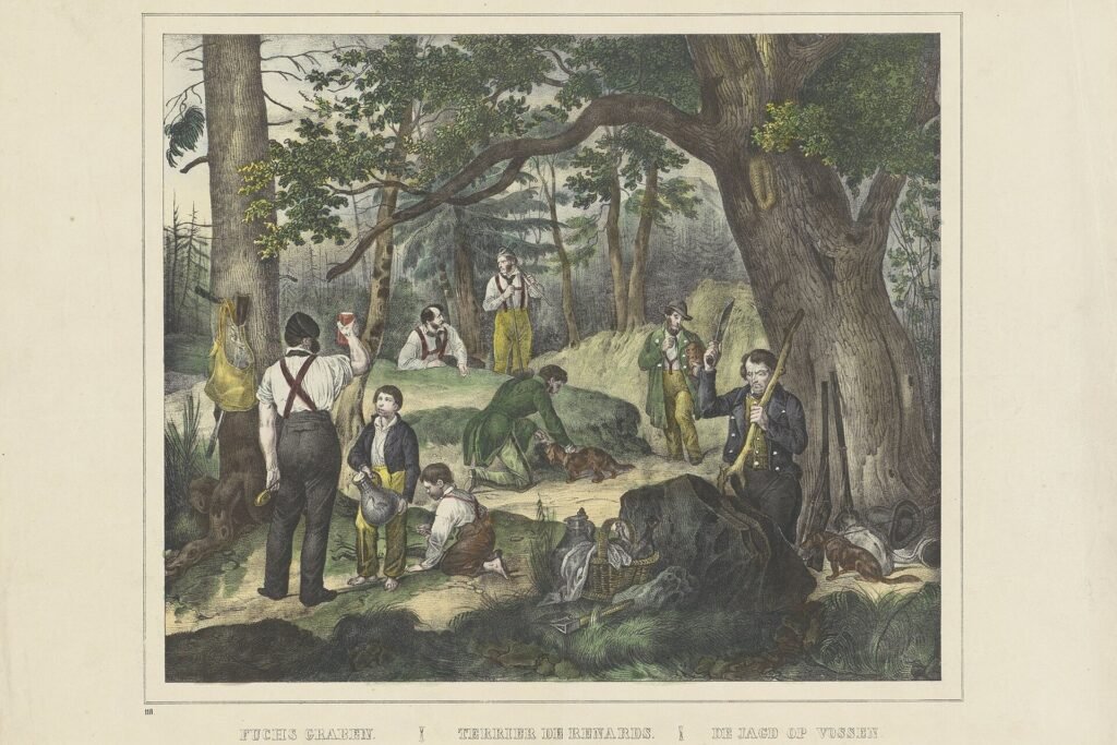 Oude ingekleurde prent met jagers en terriërs die een vos uitgraven in het bos